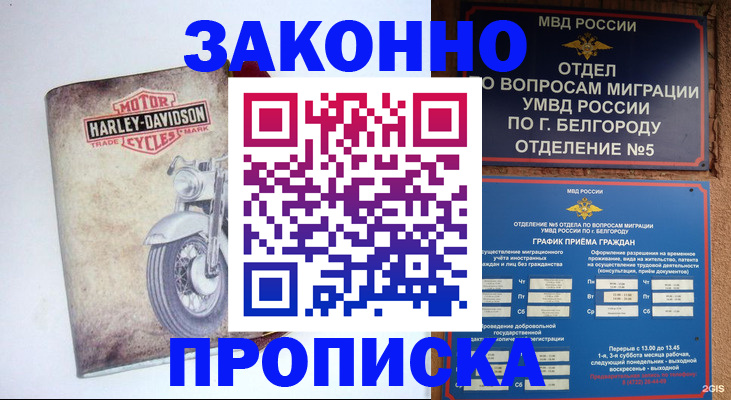 прописка для школы в Тавде